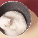 Furrytail Boss Cat Bed, Elevated Cat Chair 猫老板猫窝