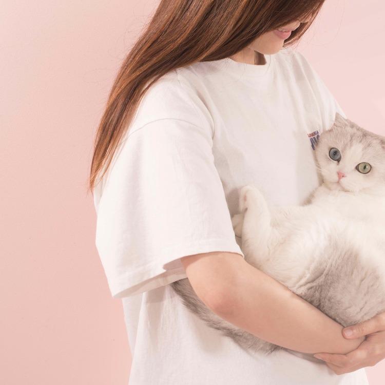 Furrytail Fruit Perfumer 果果调香师