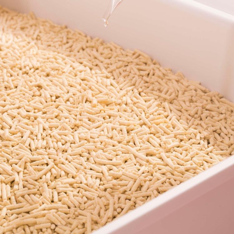 Furrytail Fruit Perfumer 果果调香师