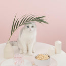 Furrytail Spillproof Cat Feeding Mat 小洁癖餐垫