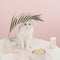 Furrytail Spillproof Cat Feeding Mat 小洁癖餐垫