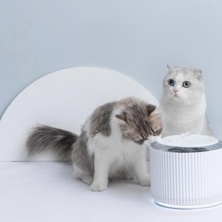 Furrytail Clear Drinking Cat Filtered Water Fountain 1.88L 小澄饮水机