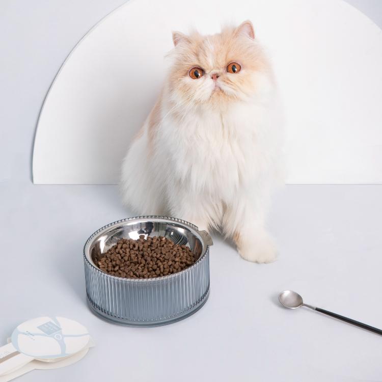 Furrytail Antibacterial Stainless Steel Cat Bowl 波波单碗