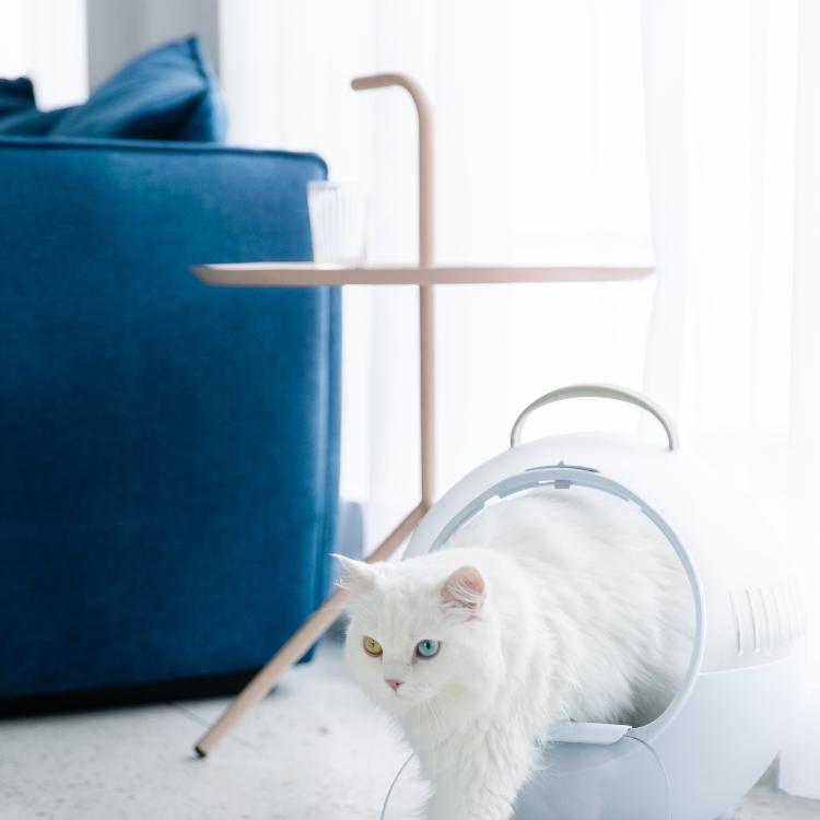 Furrytail Space Capsule Cat Carrier | Cat Capsule Bag| Car Pet Carrier 猫的移动城堡