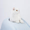 Furrytail Little Whale Cat Litter Box 小鲸猫砂盆 无盖秒变浴缸猫砂盆
