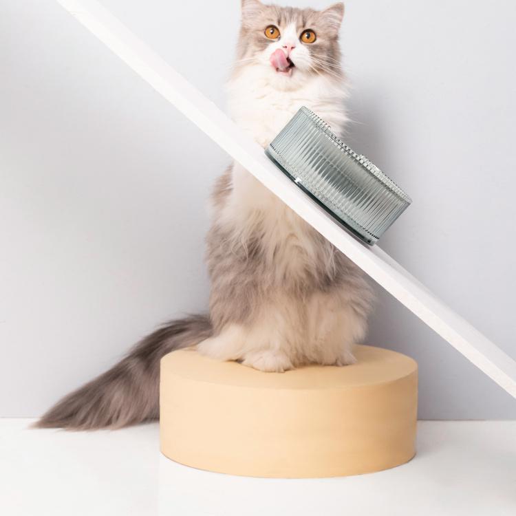 Furrytail Antibacterial Stainless Steel Cat Bowl 波波单碗