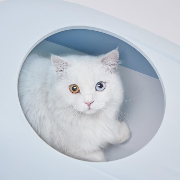 Furrytail Little Whale Cat Litter Box 小鲸猫砂盆 无盖秒变浴缸猫砂盆
