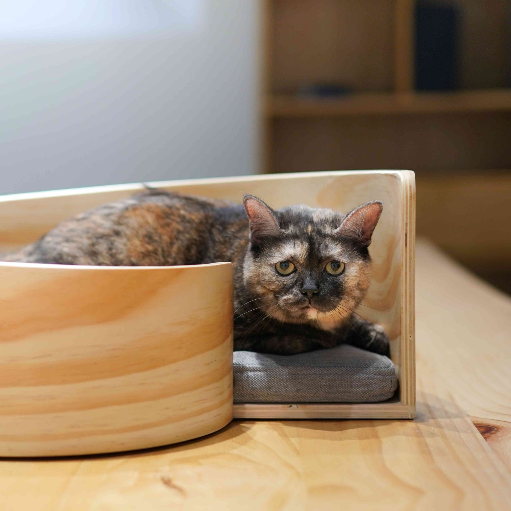 Pidan Pet bed Cat’s bed Spiral type