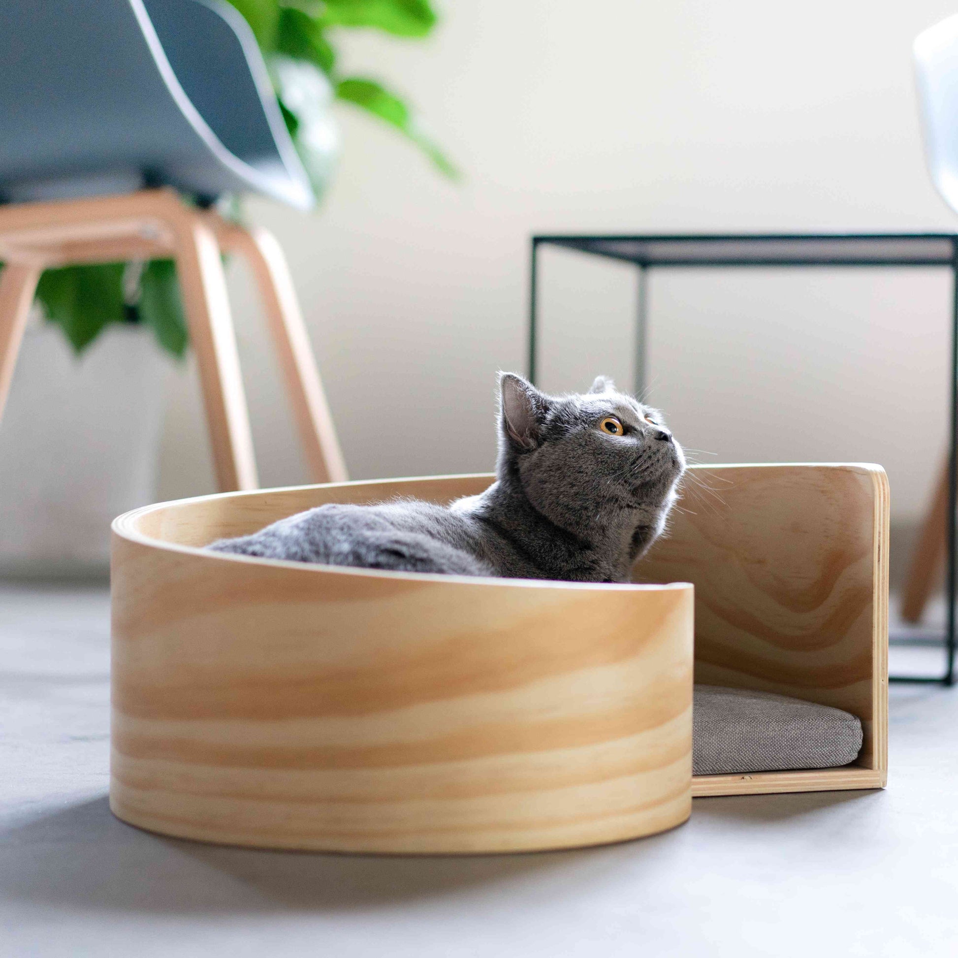 Pidan Pet bed Cat’s bed Spiral type