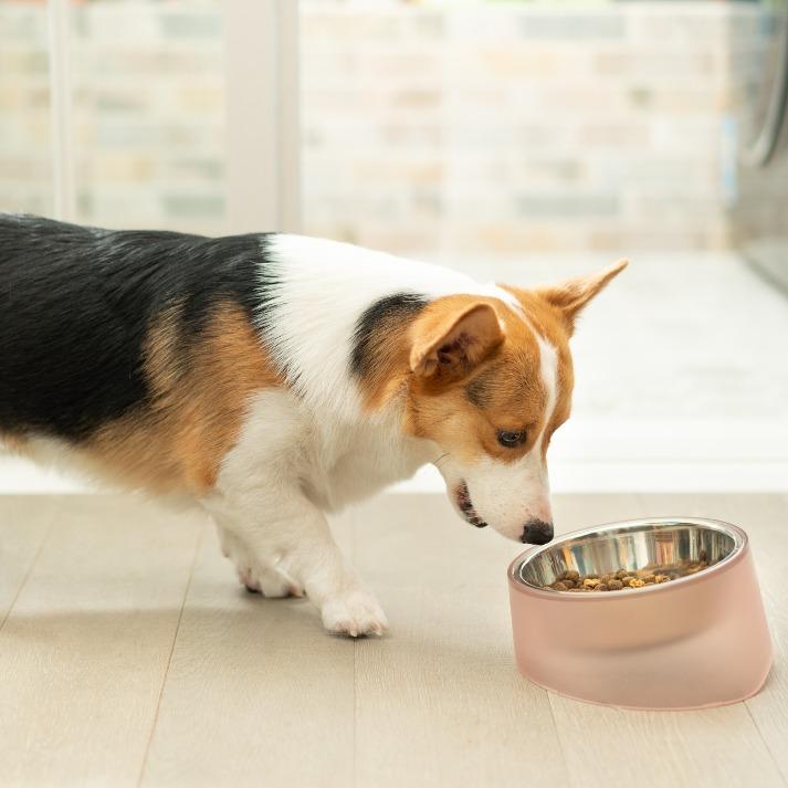 Pidan "Iceberg" Pet Bowl