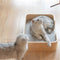 Pidan Pet bed Cat’s bed Rectangular type