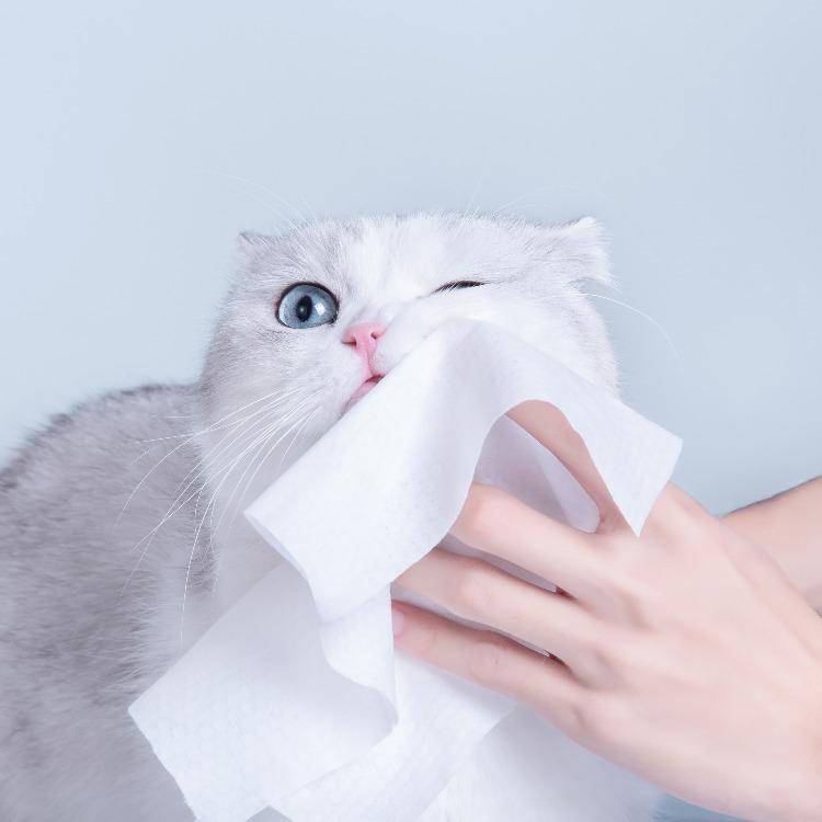 Furrytail Cotton Bubble Cat Wipes 80pc Pack 宠物湿巾