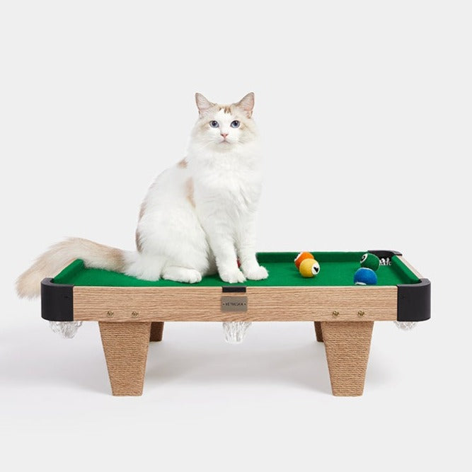 Meownooker Cat Toy Set 喵诺克台球玩具套装
