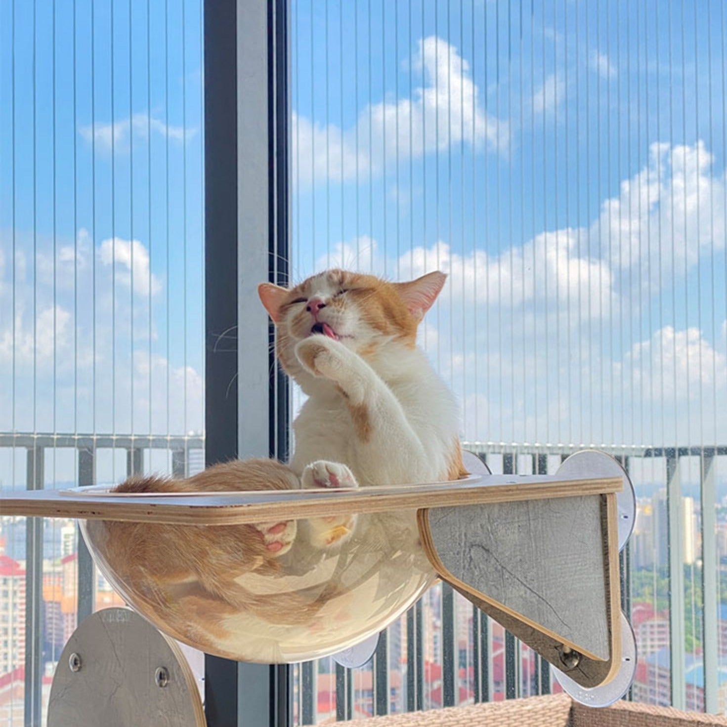 透明太空吊床
