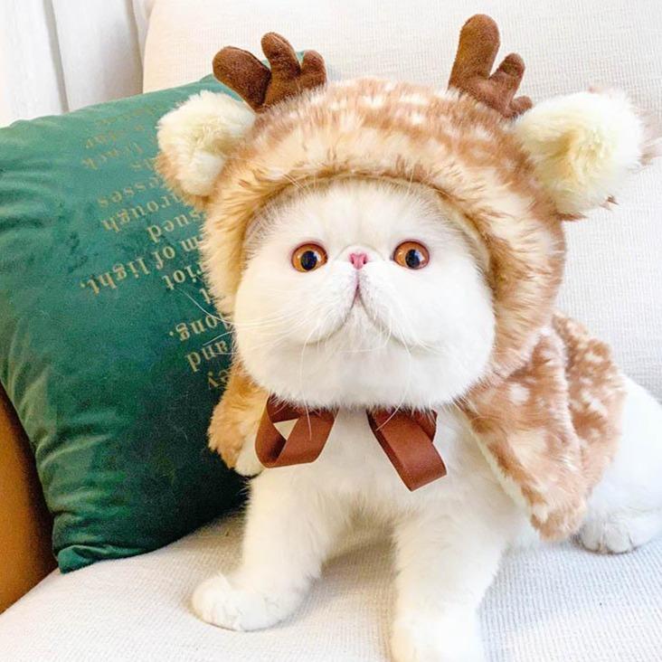 Bigger Fish Deer Cloak 小鹿斗篷 通码