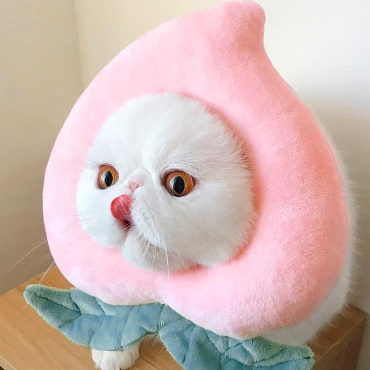 Bigger Fish Peaches Elizabeth 喵间水蜜桃头套