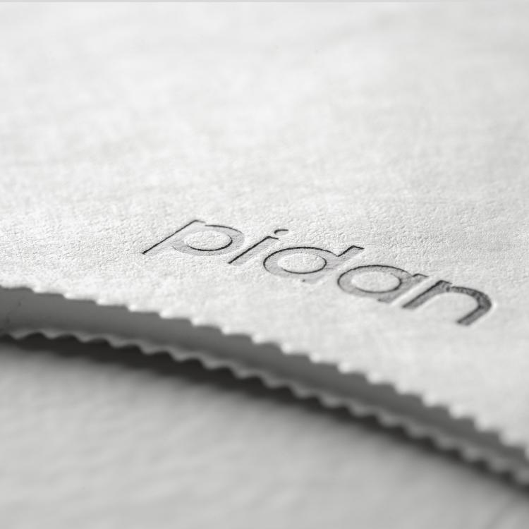 Pidan Pet protective Dupont paper type