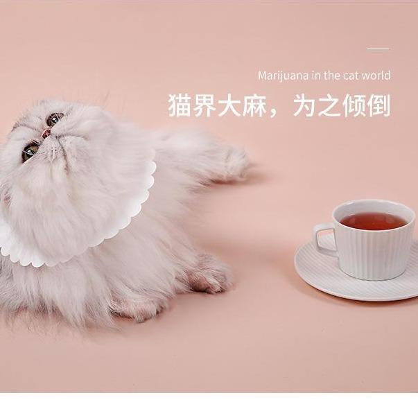 Dina Cats Cat Tea