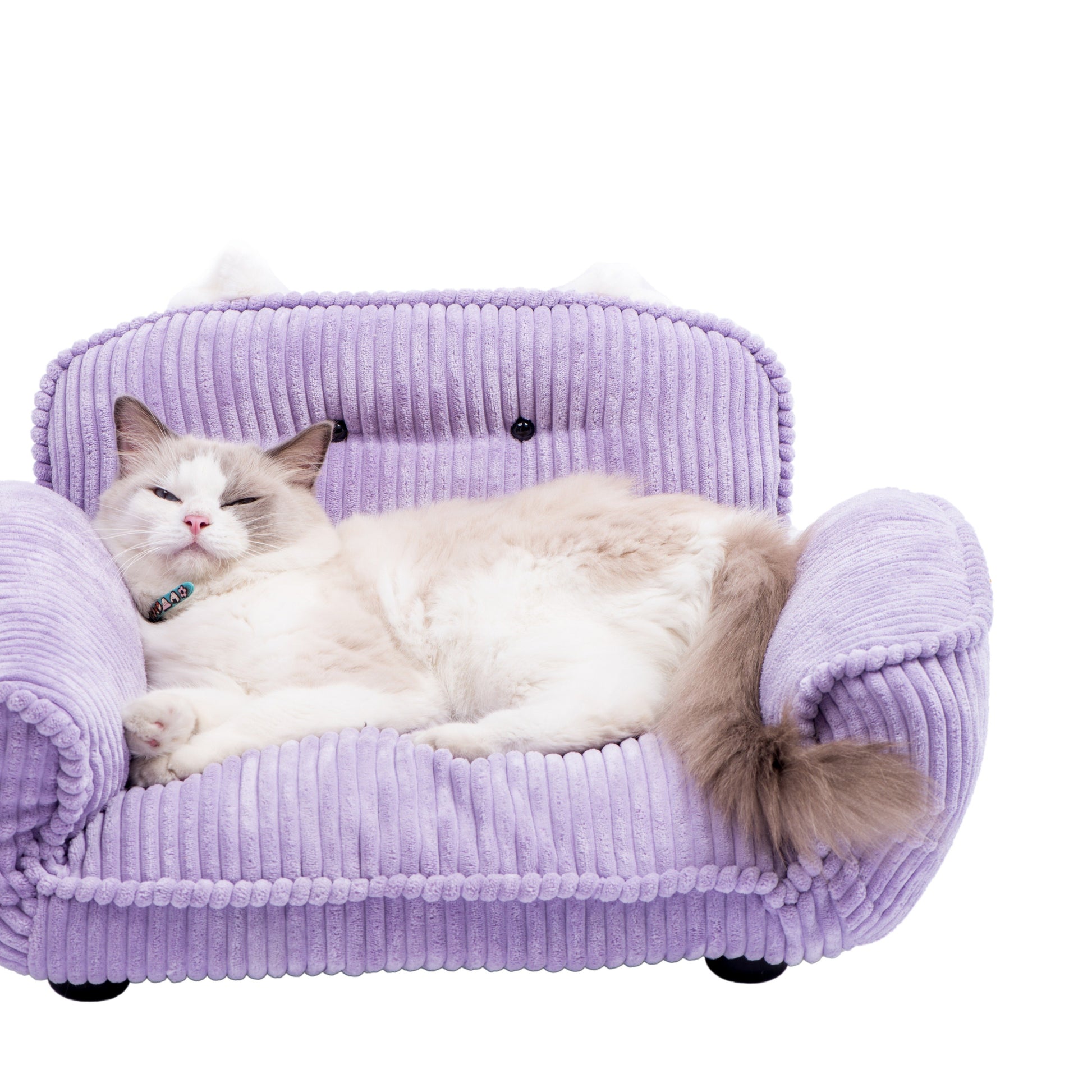 K.1 Andrey Pet Sofa 奥黛丽宠物沙发