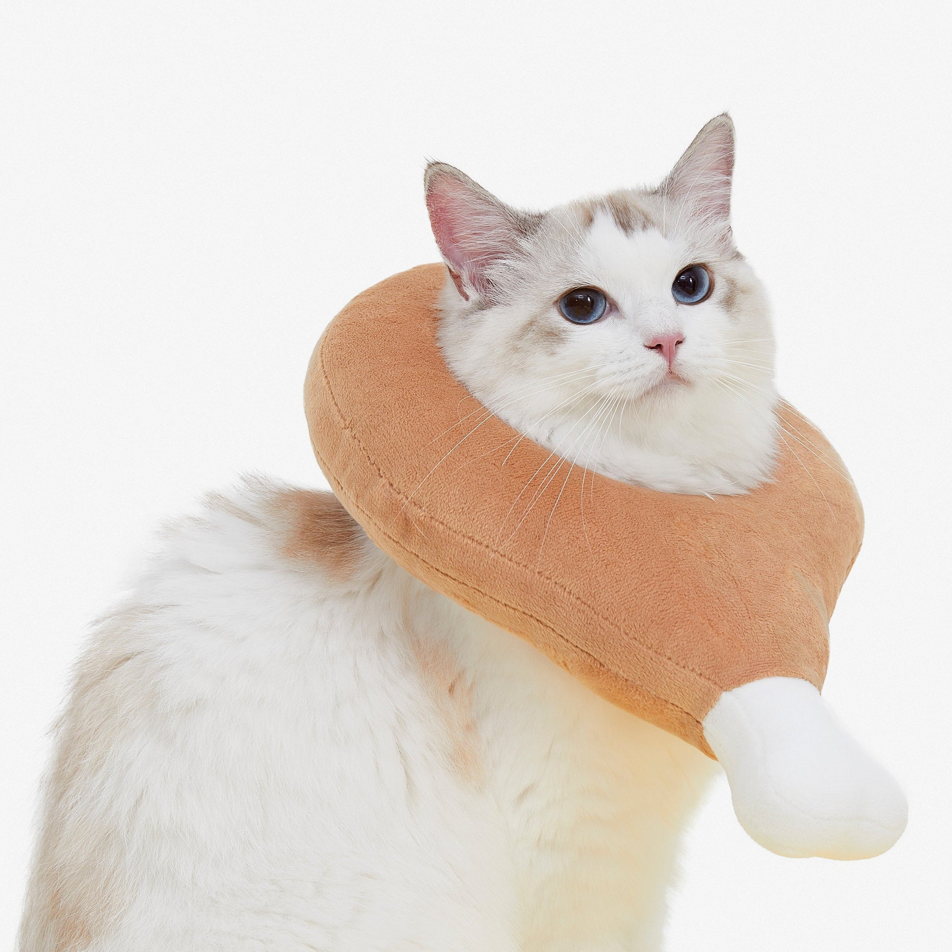 Vetreska Elizabeth Pet Collar 伊丽莎白圈(荷包蛋/鸡腿)