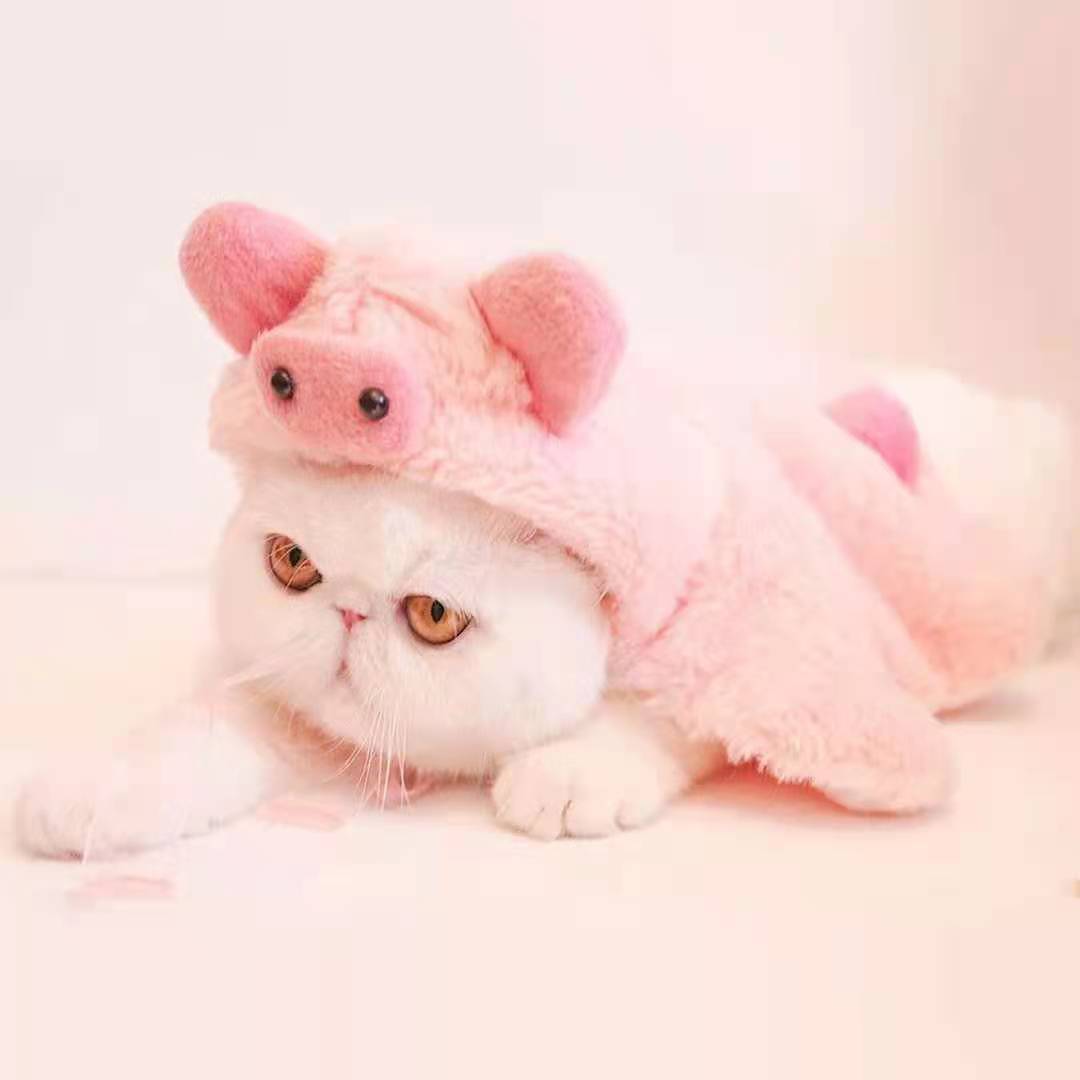 Bigger Fish Piggy Cape 小猪斗篷