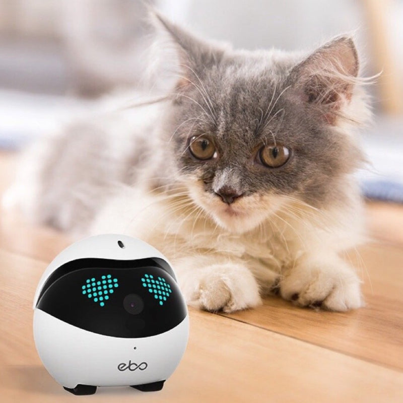 Ebo 宠物陪伴智能机器人