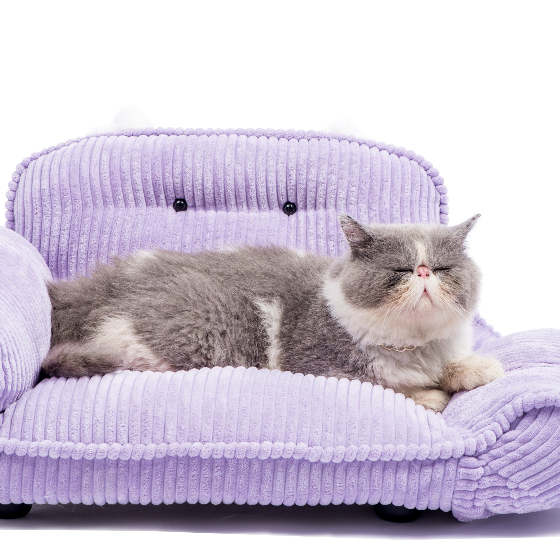 K.1 Andrey Pet Sofa 奥黛丽宠物沙发