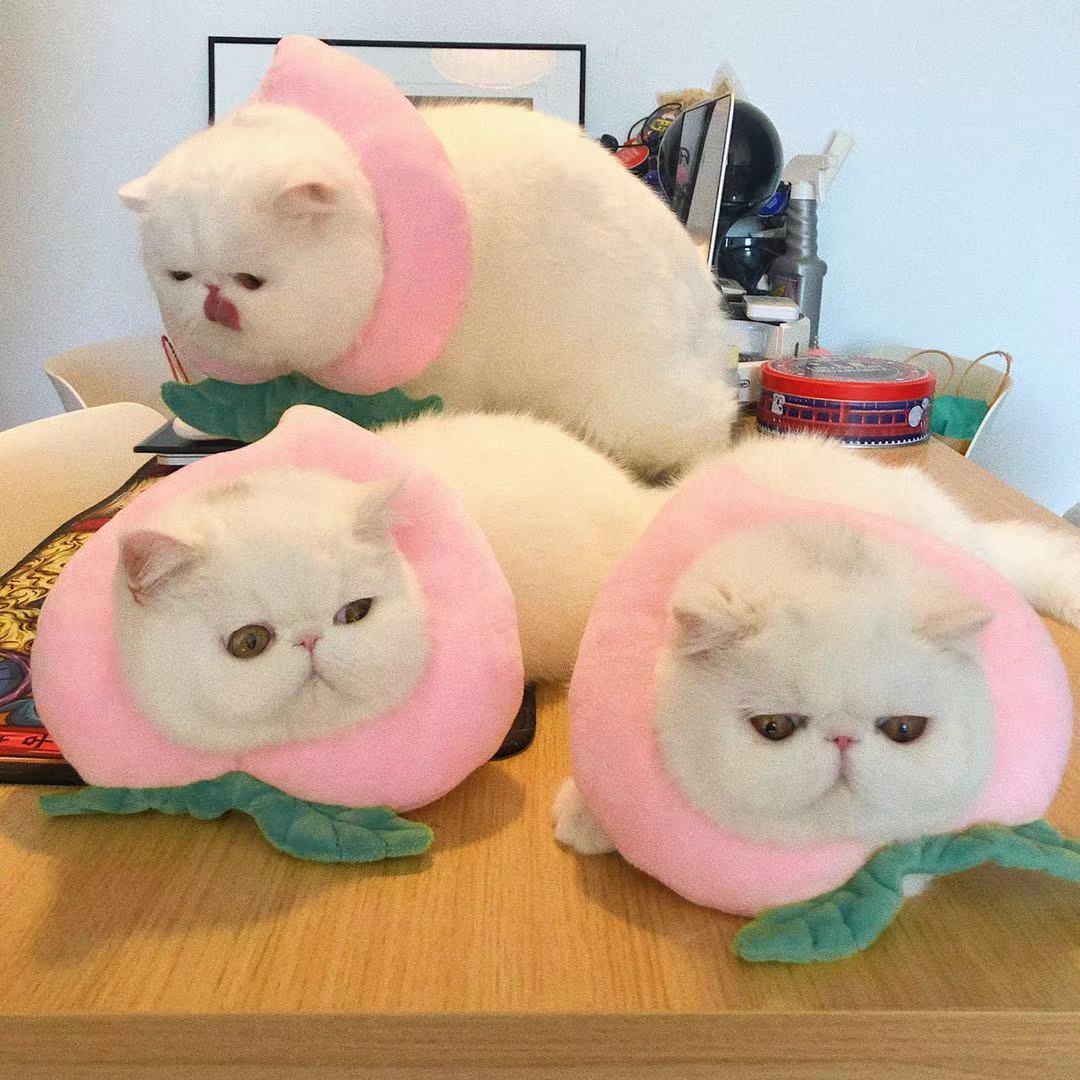 Bigger Fish Peaches Elizabeth 喵间水蜜桃头套