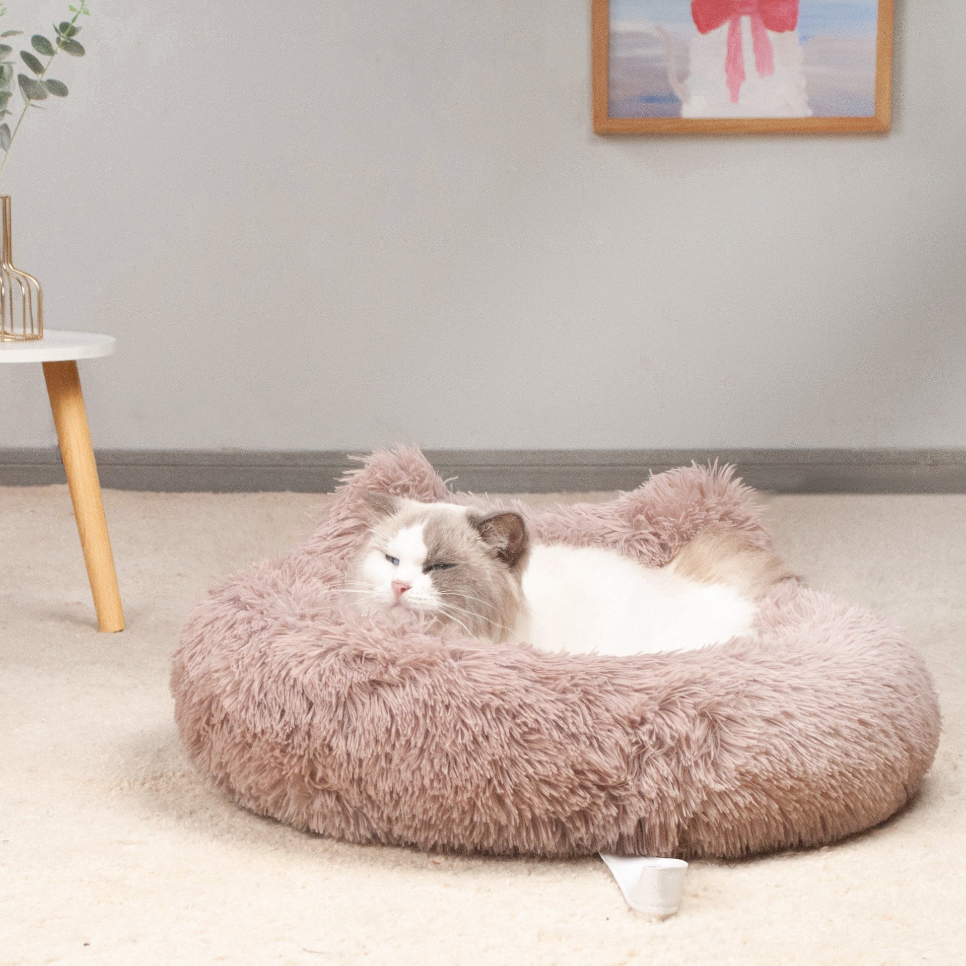 K.1 Warm Cat Bed 暖暖窝