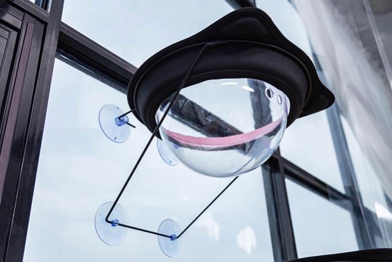 Pet Nest For Cat Sunshine Time Type 平底锅/太空吊床