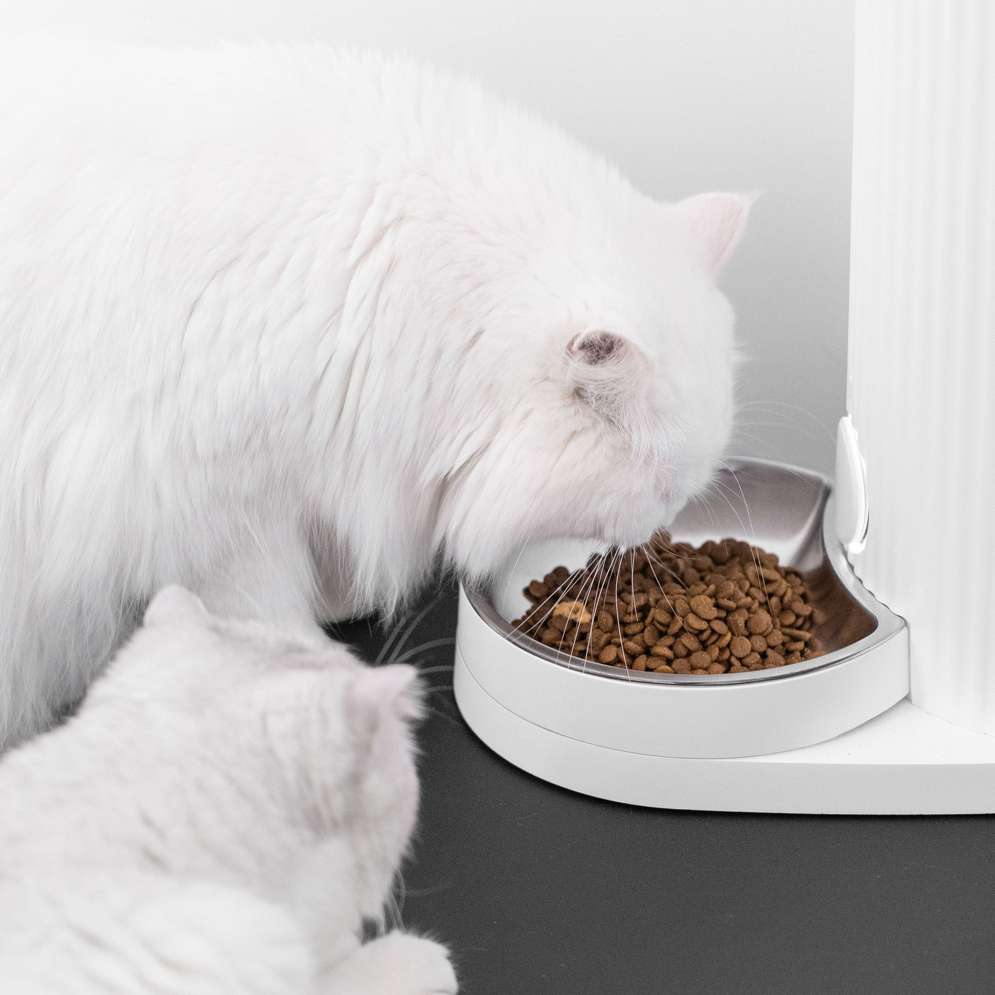 Furrytail Feeder 尾巴生活时光机自动喂食器