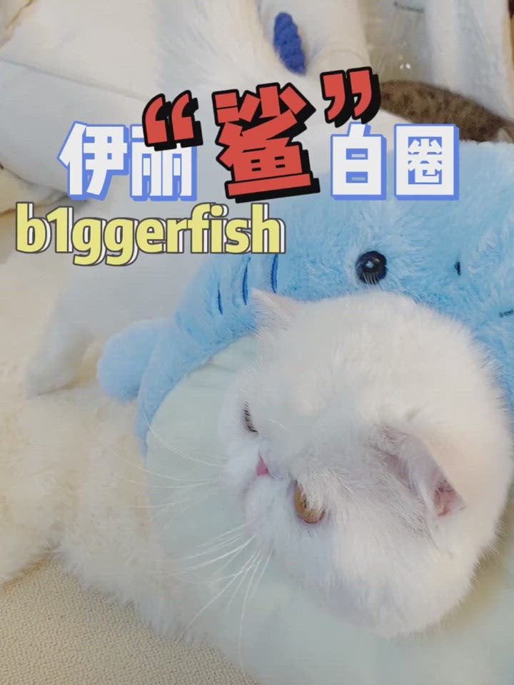 Bigger Fish Shark Elizabeth 伊丽鲨白圈 鲨鱼头套