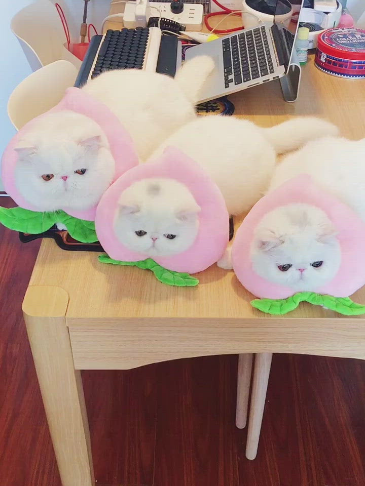 Bigger Fish Peaches Elizabeth 喵间水蜜桃头套