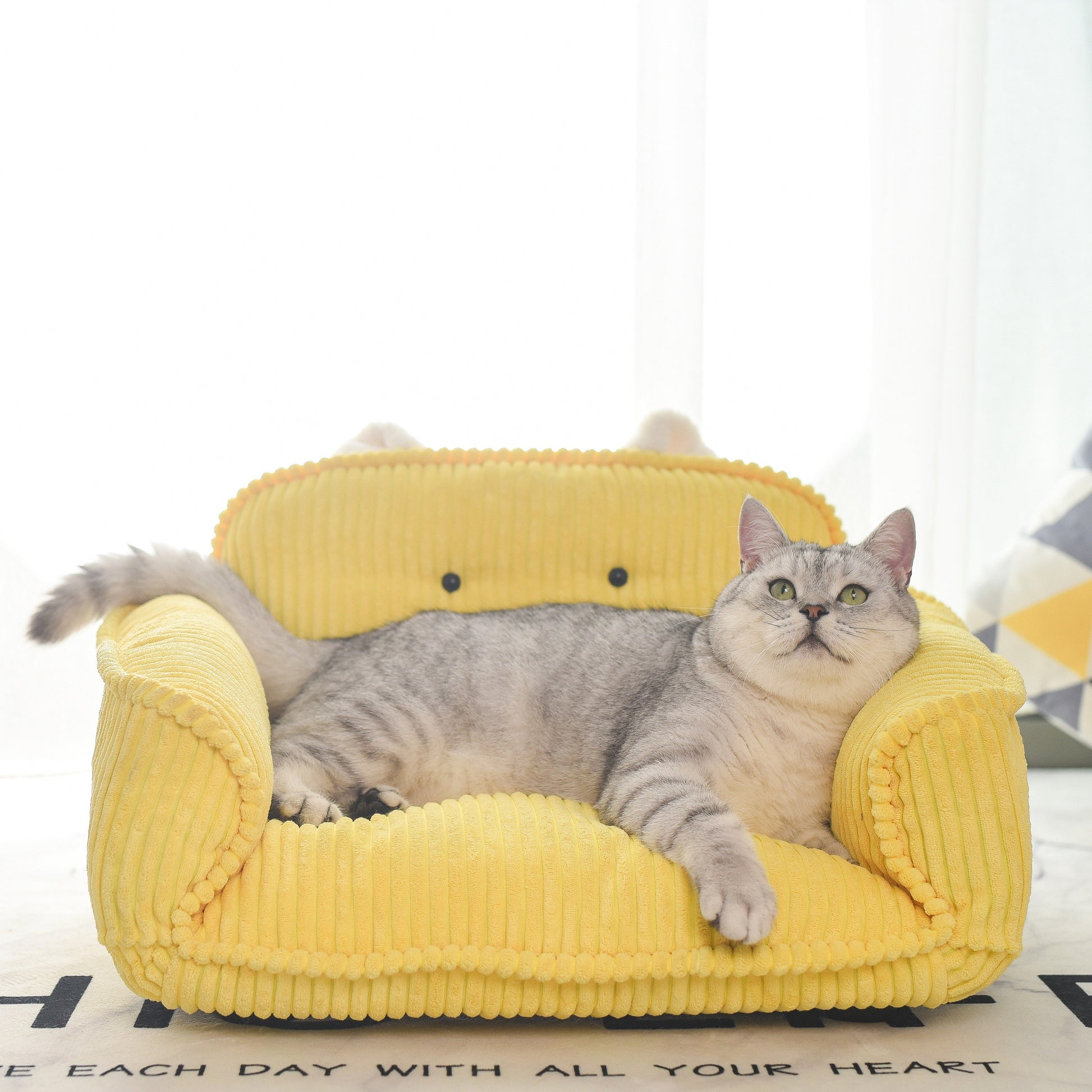 K.1 Andrey Pet Sofa 奥黛丽宠物沙发