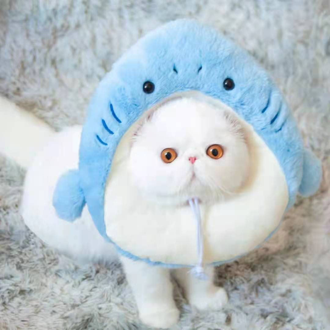 Bigger Fish Shark Elizabeth 伊丽鲨白圈 鲨鱼头套