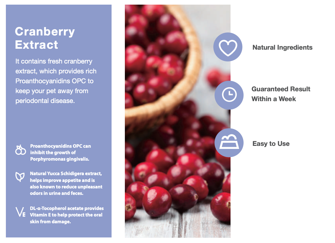 Cature Plaque-Stop Powder  1g*30 洁牙粉